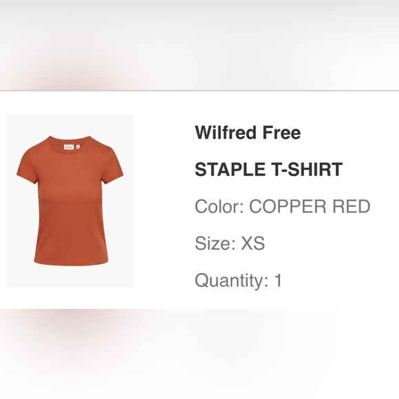 WILFRED | Aritzia Staple T-shirt | XS - Picture 2 of 7